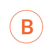 Hepatitis B